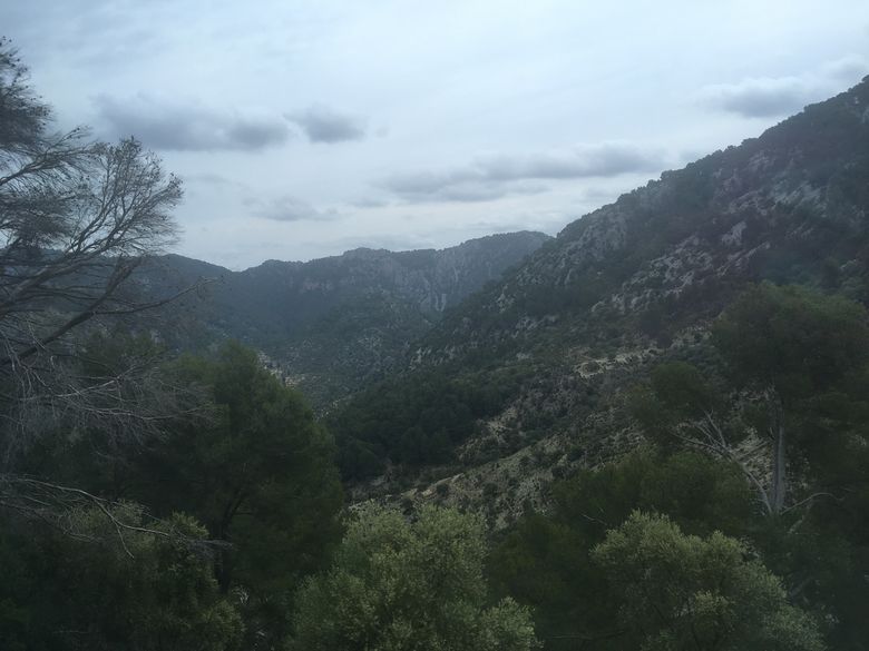Serra de Tramuntana berglandschap op Mallorca met pijnbomen en mist