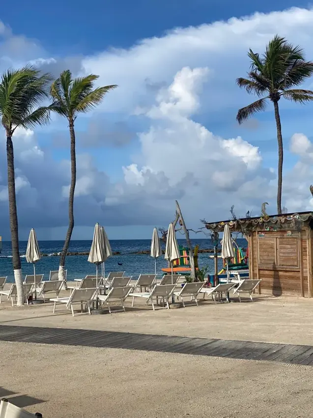 Strandgedeelte met ligbedden en palmen bij het Corendon Mangrove Beach Resort