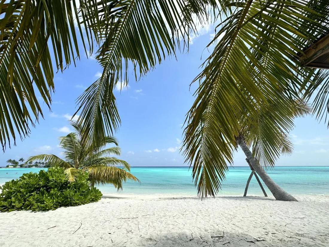 Wit strand met palmen en turquoise water op Sun Island, Malediven